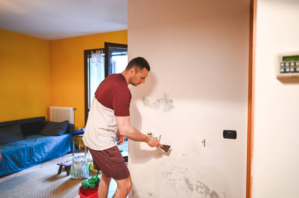 Best Insurance-Related Mold Remediation in Upper Sandusky, OH